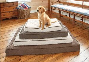 Orvis Bedside Platform Dog Bed orvis Airfoam Platform Dog Bed orvis Airfoam Platform Dog