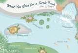 Outdoor Above Ground Turtle Pond Pet Aquatic Turtles and Outdoor Ponds