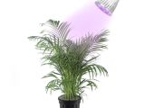 Outdoor Plant Stand Walmart Canada Plant Lights Kits Walmart Com