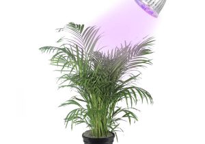 Outdoor Plant Stand Walmart Canada Plant Lights Kits Walmart Com