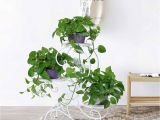 Outdoor Plant Stands at Walmart Hlc 3 Tier Metal Plant Stand Garden Patio Flower Pot Rack Modern S