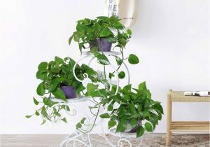 Outdoor Plant Stands at Walmart Hlc 3 Tier Metal Plant Stand Garden Patio Flower Pot Rack Modern S