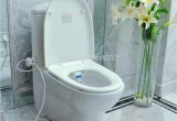 Ove Beverly toilet Reviews Futuristic toilets Ove Beverly toilet Reviews toilet