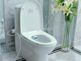 Ove Beverly toilet Reviews Futuristic toilets Ove Beverly toilet Reviews toilet