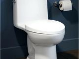 Ove Beverly toilet Reviews Ove toilet Review the Images Collection Of Future Remote