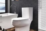 Ove Beverly toilet Reviews Shop Ove Decors Beverly White Watersense Labeled Dual