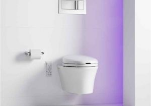 Ove Beverly toilet Reviews the Images Collection Of A Sloan Flush Mate Valve Numi