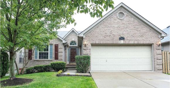 Overhead Door Co Lexington Ky Decorating Garage Doors Lexington Ky Garage Inspiration