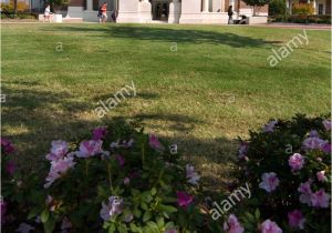 Oxford House San Antonio Die Bibliothek Stockfotos Die Bibliothek Bilder Alamy