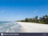 Pack N Ship Naples Fl Naples Florida Beach Pier Stockfotos Naples Florida Beach Pier