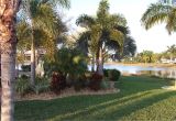 Paradise Lawn and Landscape Cypress Woods Rv Resort Campground Reviews fort Myers Fl