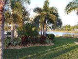 Paradise Lawn and Landscape Cypress Woods Rv Resort Campground Reviews fort Myers Fl