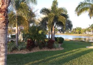 Paradise Lawn and Landscape Cypress Woods Rv Resort Campground Reviews fort Myers Fl