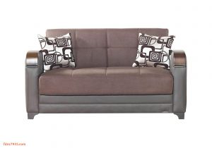 Patio Furniture Stores In Des Moines Ia Convertible Loveseat Bed Fresh sofa Design