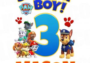 Paw Patrol Birthday Iron On Transfers Paw Patrol Iron On Transfer Birthday Boy Luvibeekidsco