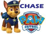 Paw Patrol Iron On Transfer Australia Paw Patrol Chase Iron On Transfer