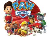 Paw Patrol Iron On Transfers Paw Patrol Iron On Transfer 5 Quot X5 75 Quot for Light Colored