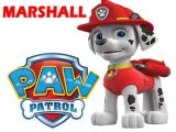 Paw Patrol Iron On Transfers Uk Paw Patrol Marshall T Shirt Iron On Transfer
