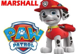 Paw Patrol Iron On Transfers Uk Paw Patrol Marshall T Shirt Iron On Transfer