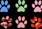 Paw Print Flower Art Colorful Paw Prints by Gdj From Pdp On Openclipart Food and