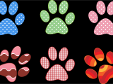 Paw Print Flower Art Colorful Paw Prints by Gdj From Pdp On Openclipart Food and