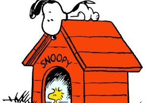 Peanuts Snoopy Dog House Tent 751 Best Images About Charlie Brown On Pinterest