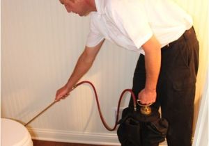 Pearson Pest Control Rockford Il Pest Control Exterminator Rockford Services