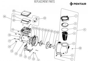 Pentair Intelliflo 2 Vst Pentair Intellifloa 2 Vst Variable Speed Pump Parts