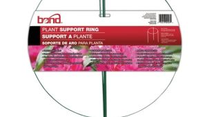 Peony Cages Home Depot Plant Support Ring 14 In Garden tools Gregrobert