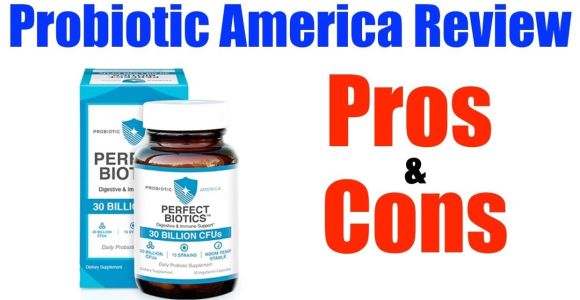 Perfect Biotics by Probiotic America Review Probiotic America Best Product Perfect Biotics Probioti