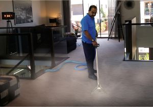 Personal touch Carpet and Floor Care Disney Maintainance Professional Carpet Cleaning with A Personal touch