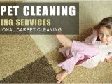 Personal touch Carpet Cleaning Carpet Cleaning York Pa 717 848 2064