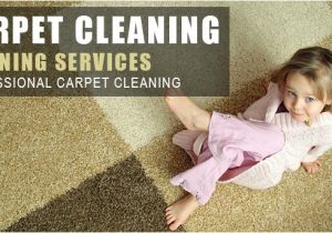 Personal touch Carpet Cleaning Carpet Cleaning York Pa 717 848 2064