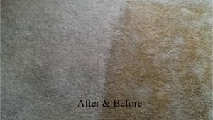 Personal touch Carpet Cleaning Chillicothe Ohio Personal touch Carpet Cleaning Chillicothe Oh 45601 Yp Com