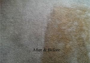 Personal touch Carpet Cleaning Chillicothe Ohio Personal touch Carpet Cleaning Chillicothe Oh 45601 Yp Com