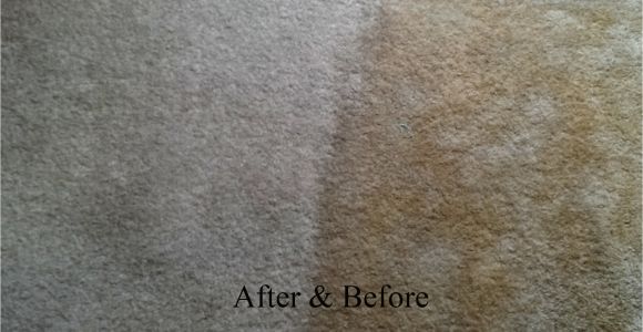 Personal touch Carpet Cleaning Chillicothe Ohio Personal touch Carpet Cleaning Chillicothe Oh 45601 Yp Com