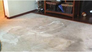 Personal touch Carpet Cleaning Walla Walla Carpet Cleaning Upholstery Cleaning Walla Walla Wa