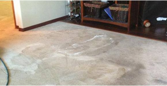Personal touch Carpet Cleaning Walla Walla Carpet Cleaning Upholstery Cleaning Walla Walla Wa