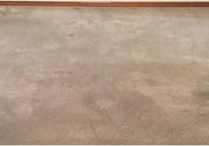 Personal touch Carpet Cleaning Walla Walla Personal touch Cleaning Testimonials Walla Walla Cleaners