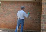 Pest Control Abilene Tx Pest Exterminator Abilene Tx andrew Turnbull