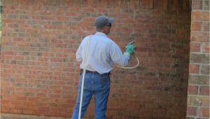 Pest Control Abilene Tx Pest Exterminator Abilene Tx andrew Turnbull