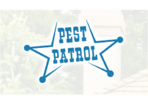 Pest Control Abilene Tx Pest Patrol 18 Photos Pest Control Companies Abilene