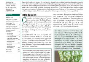 Pest Control Bryan Tx Pdf Cucumber Beetles organic and Biorational Integrated Pest