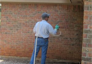 Pest Control Companies In Abilene Tx Pest Exterminator Abilene Tx andrew Turnbull