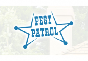 Pest Control Companies In Abilene Tx Pest Patrol 18 Photos Pest Control Companies Abilene