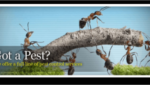 Pest Control Hot Springs Ar Advanced Pest Control Pest Control and Removal Hot