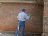 Pest Control In Abilene Tx Pest Exterminator Abilene Tx andrew Turnbull