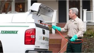 Pest Control In Davenport Iowa Terminix Davenport Ia Company Information