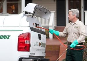 Pest Control In Davenport Iowa Terminix Davenport Ia Company Information