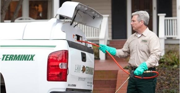 Pest Control In Davenport Iowa Terminix Davenport Ia Company Information